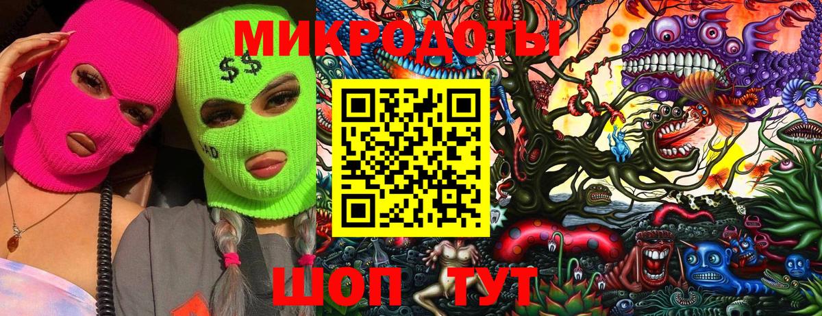 Галлюциногенные грибы мухоморы  Вход с VPN  Славгород  где купить наркоту  Галлюциногенные грибы MAGIC MUSHROOMS 