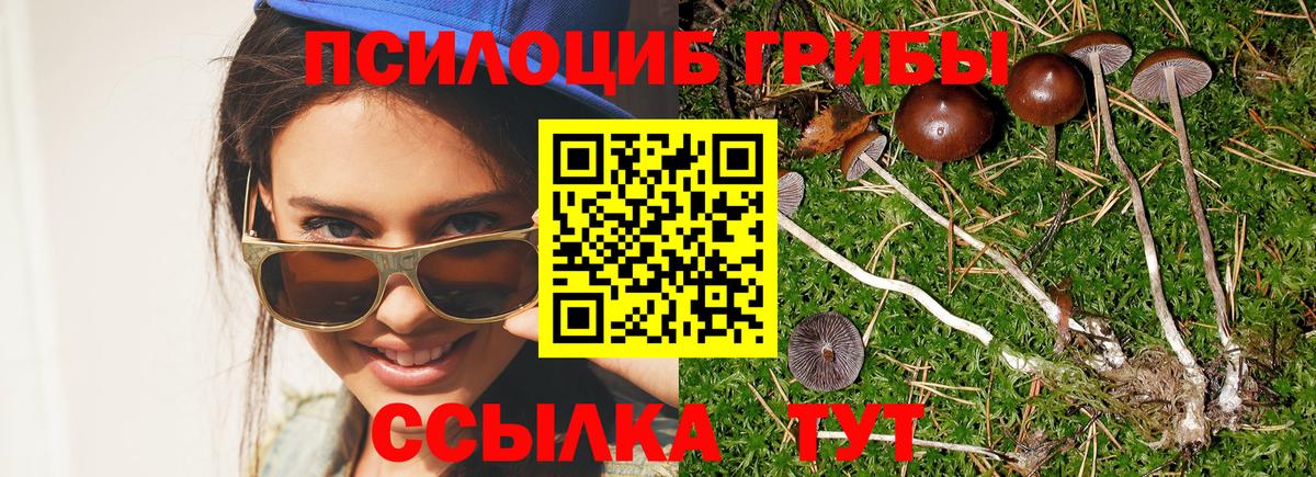 Славгород  A PVP СК кристаллы  Меф кристаллы  ГАШ  Каннабис  Вход с VPN  COCAIN 