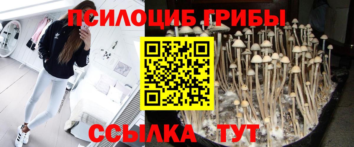 Галлюциногенные грибы Magic Shrooms Славгород